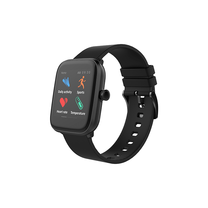 Smart Wearables Flix Smart Accessories